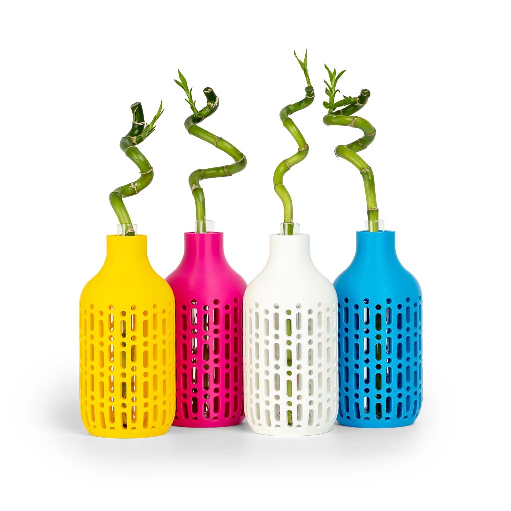 fiberlogy-easy-pla-filament-2 image 2